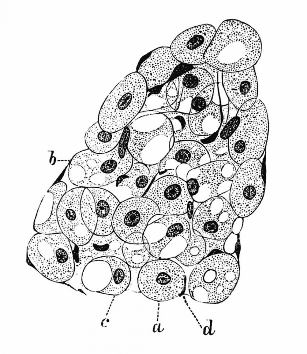 Bildschirmfoto 2020 10 29 um 11 00 10 Kopie