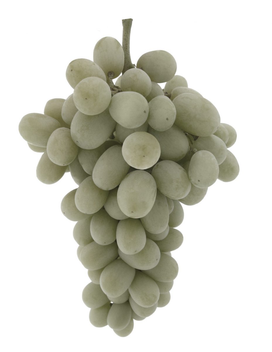 Grapes Green E1390145885426